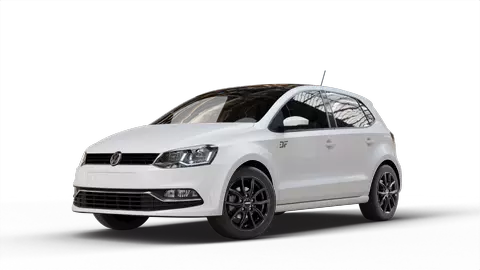 Volkswagen (VW) Polo V Typ 6C
