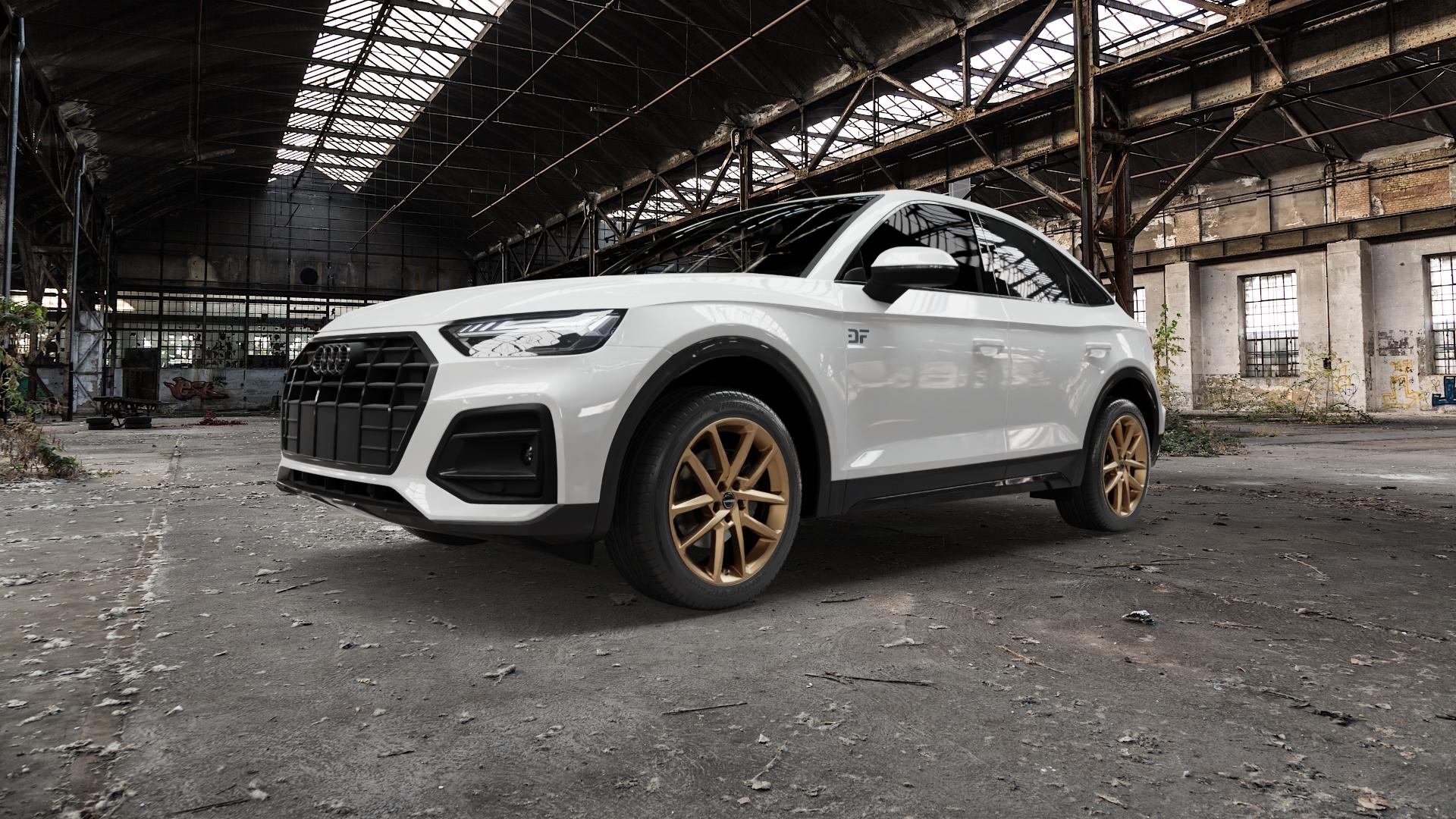 Borbet N bronce matt Felge mit Reifen bronze in 19Zoll Winterfelge Alufelge auf weissem Audi Q5 II Typ FY Sportback ⬇️ mit 15mm Tieferlegung ⬇️ Old Industrial Hall_max5000mm_2022 Frontansicht_1