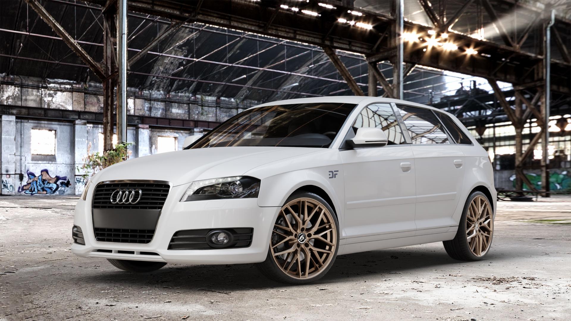 Damina Performance DM08 Bronze Matt Felge mit Reifen in 19Zoll Winterfelge Alufelge auf weissem Audi A3 Typ 8P (Sportback) 1,6l 75kW (102 PS) 2,0l FSI 110kW (150 1,9l TDI 77kW (105 103kW (140 TFSI 147kW (200 85kW (116 100kW (136 1,8l 118kW (160 125kW (170 1 ⬇️ mit 15mm Tieferlegung ⬇️ Old Industrial Hall_max_4400mm_2024 Frontansicht_1