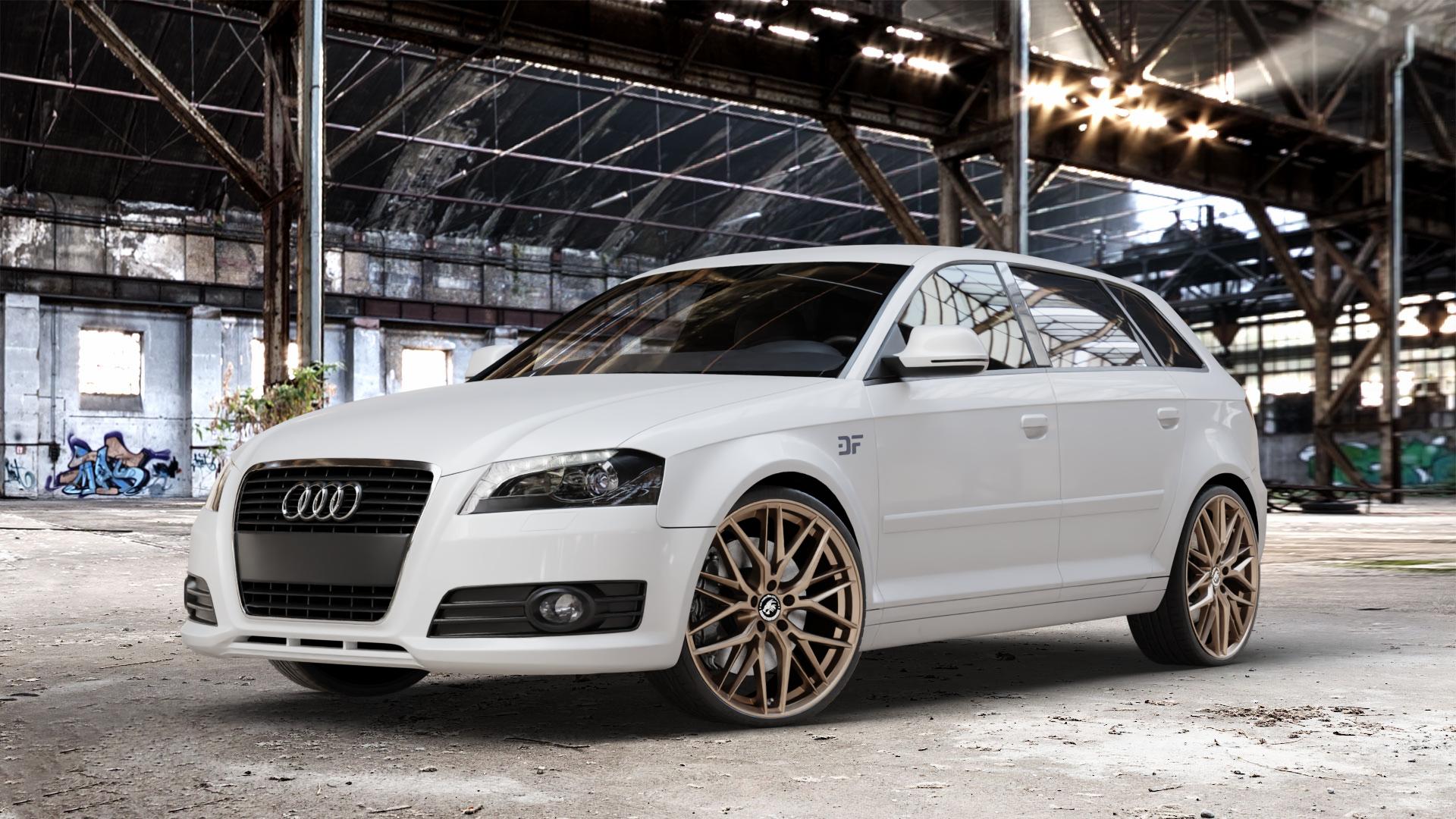 Damina Performance DM08 Bronze Matt Felge mit Reifen in 20Zoll Winterfelge Alufelge auf weissem Audi A3 Typ 8P (Sportback) 1,6l 75kW (102 PS) 2,0l FSI 110kW (150 1,9l TDI 77kW (105 103kW (140 TFSI 147kW (200 85kW (116 100kW (136 1,8l 118kW (160 125kW (170 1 ⬇️ mit 15mm Tieferlegung ⬇️ Old Industrial Hall_max_4400mm_2024 Frontansicht_1