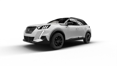 Peugeot 2008 Typ U