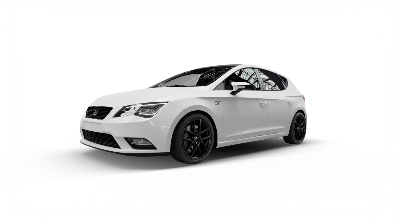 TOMASON TN30 an Seat Leon Typ 5F