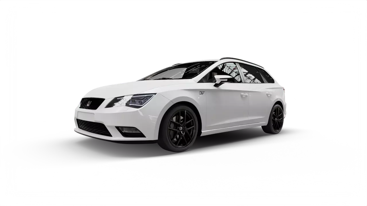 TOMASON TN30 an Seat Leon Typ 5F ST