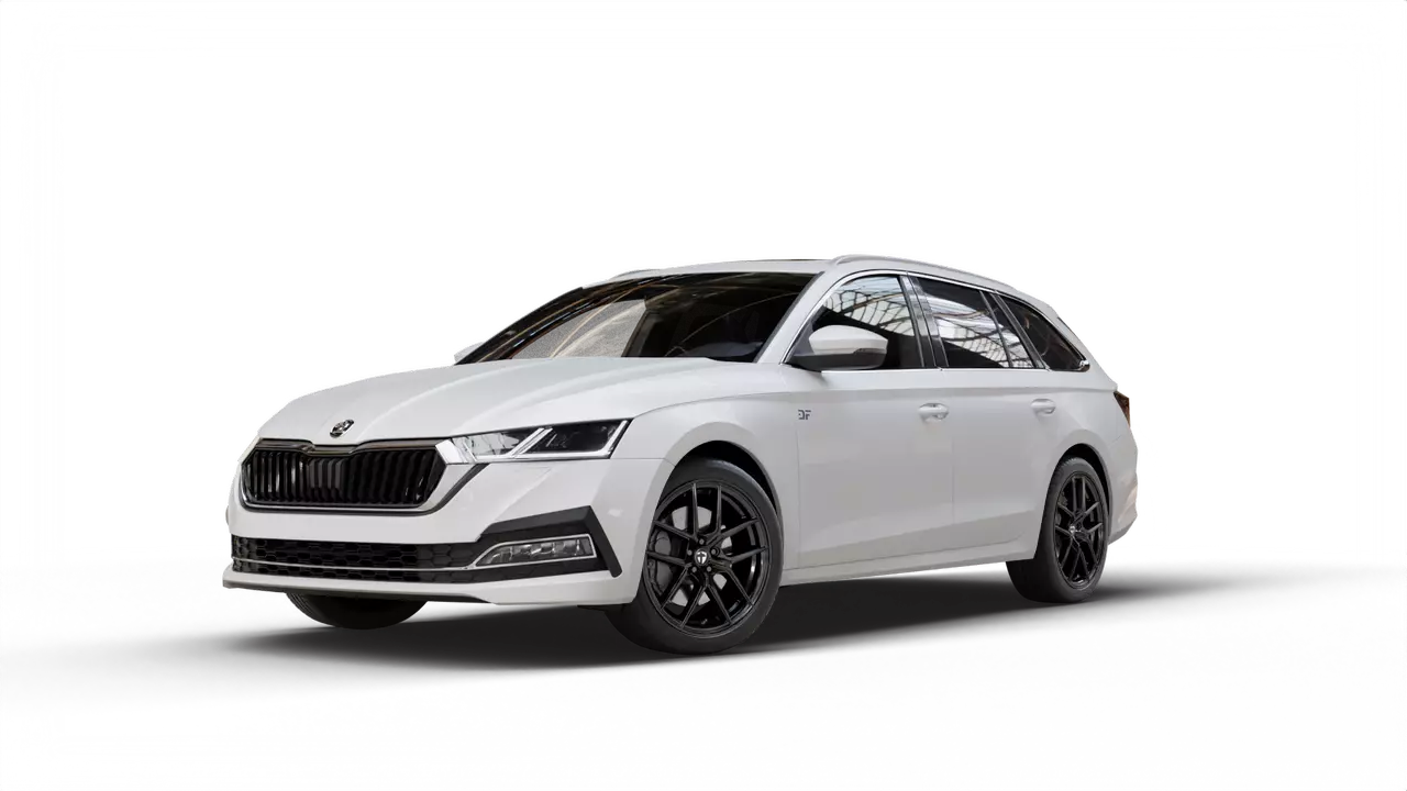 TOMASON TN30 an Skoda Octavia II Kombi Typ 1Z5